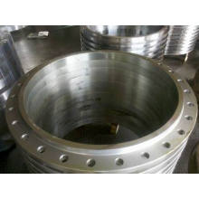 Large Ring Forging Flanges